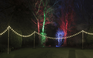 wedding festoon lighting poles melbourne bulbs lights